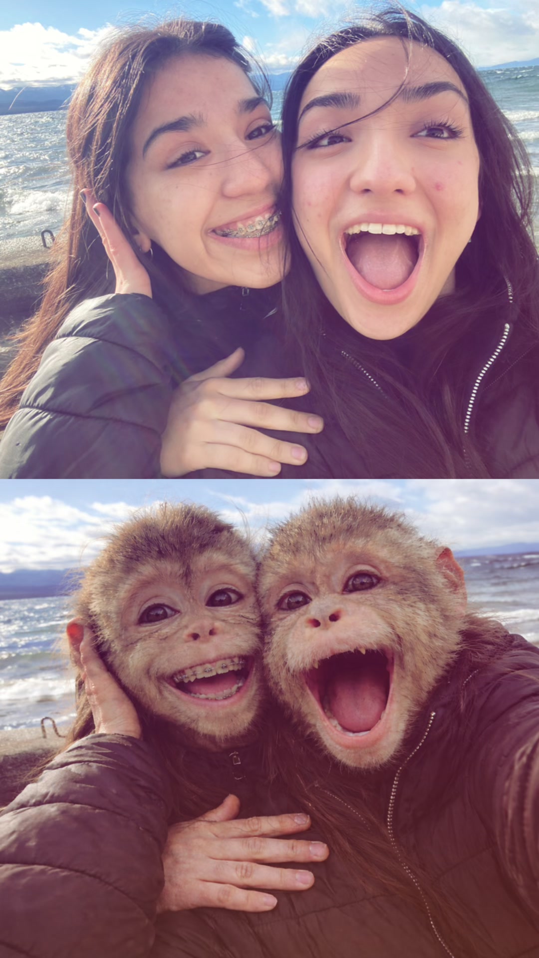 @simooyri