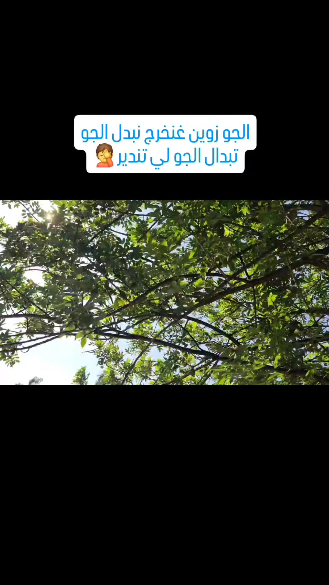 @Issam El Haddioui