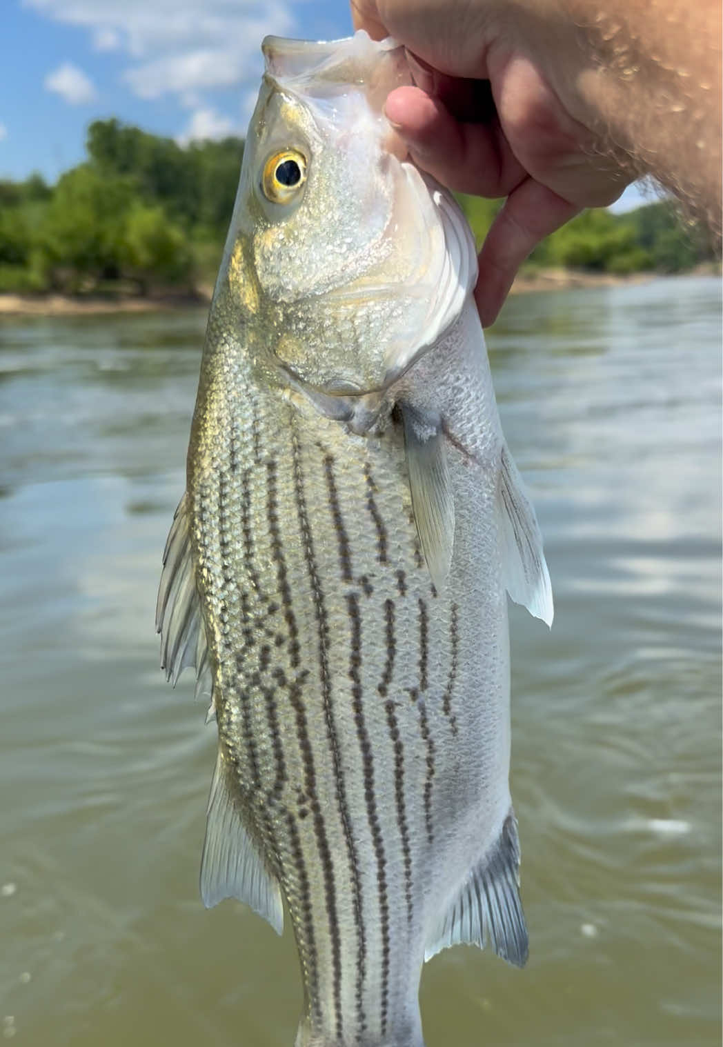 @Kentucky&ensp;Fishing