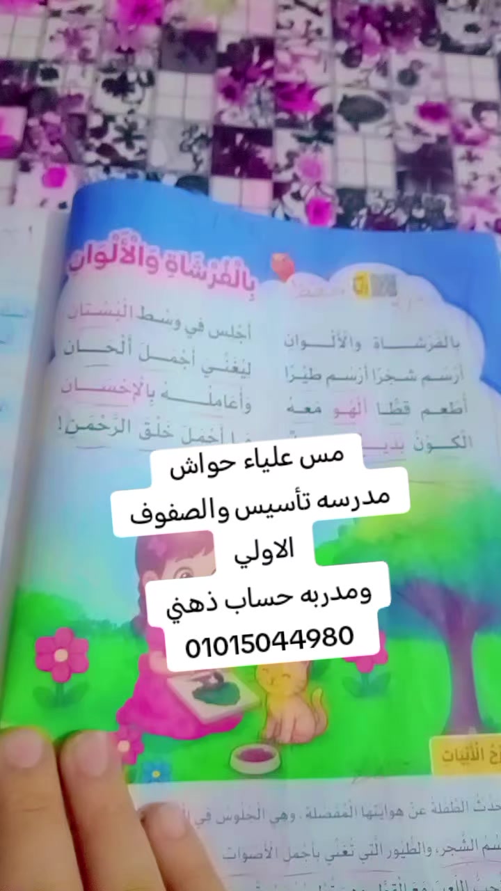 @Aliaa Howsh,