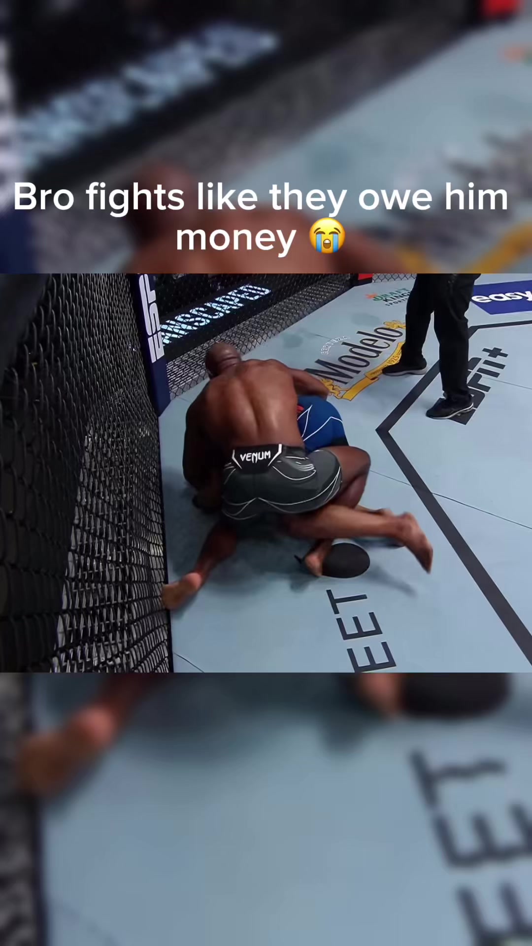 @Gold_UFC