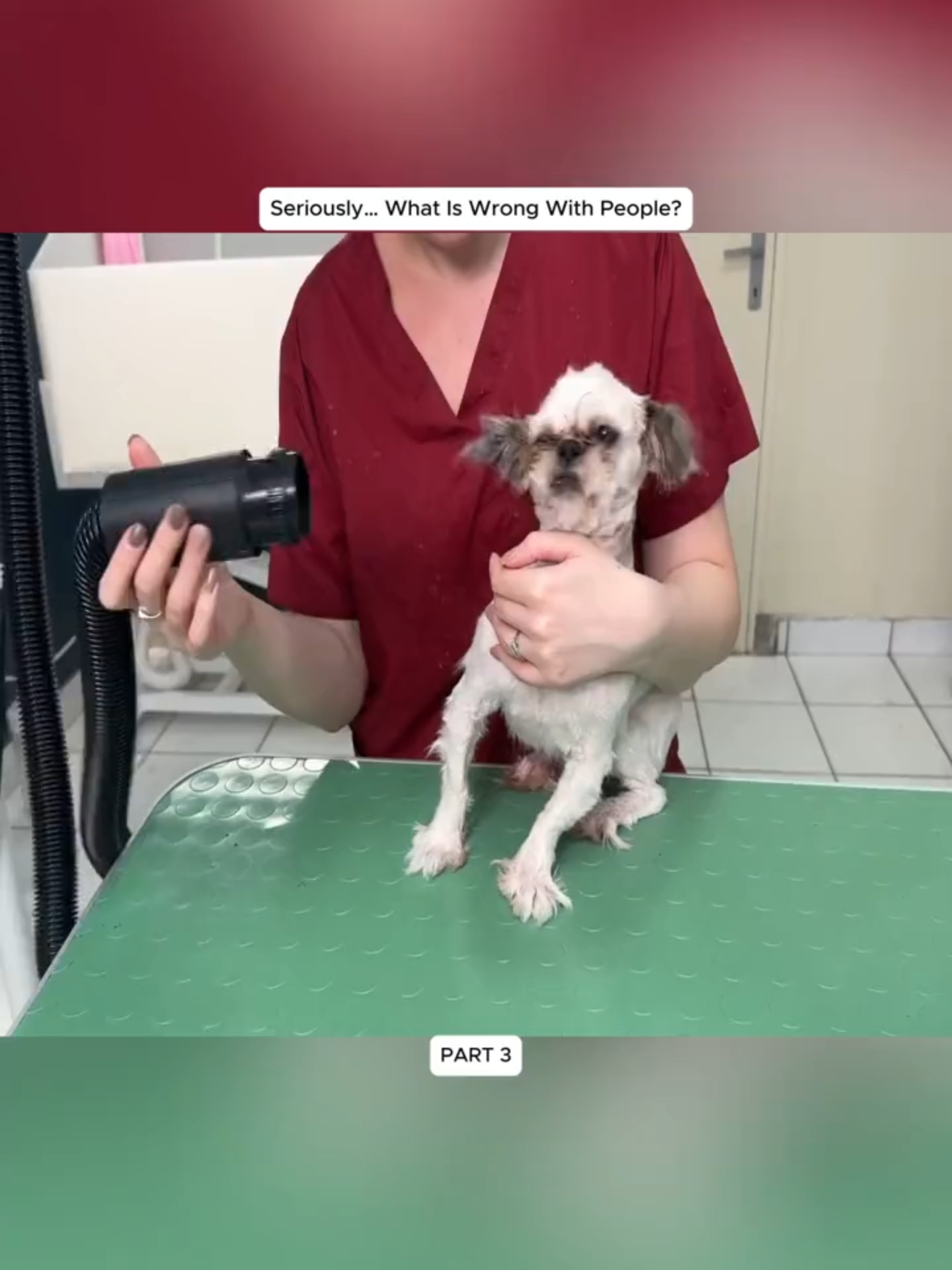@Hope For Paws