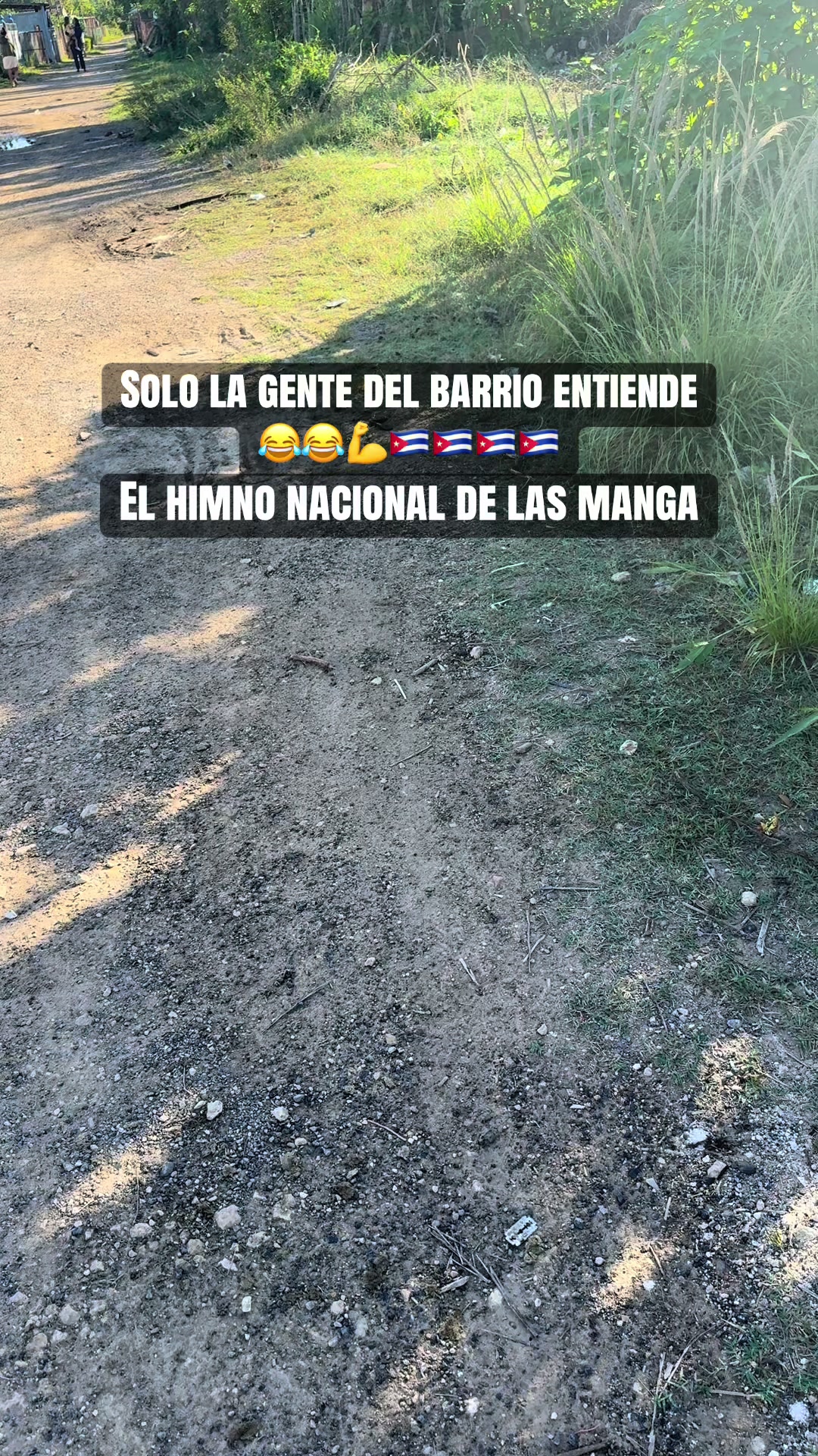 @Dileimysdelpino