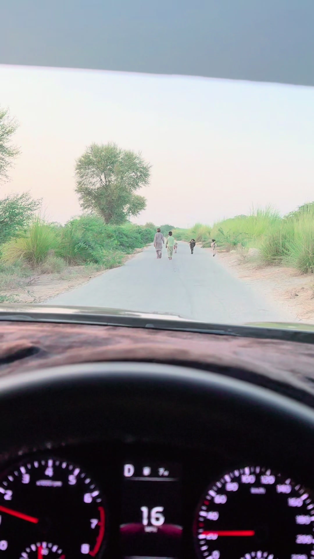 @Sana-Junejo