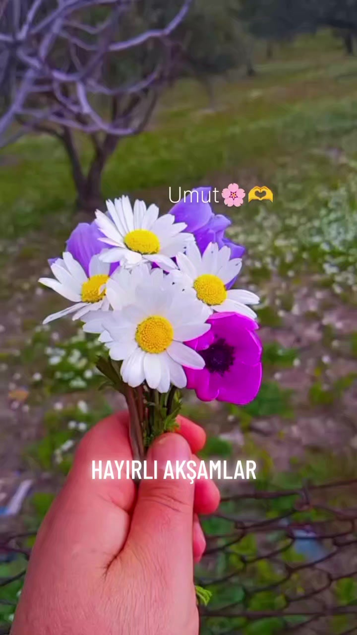 @Hasan Yılmaz