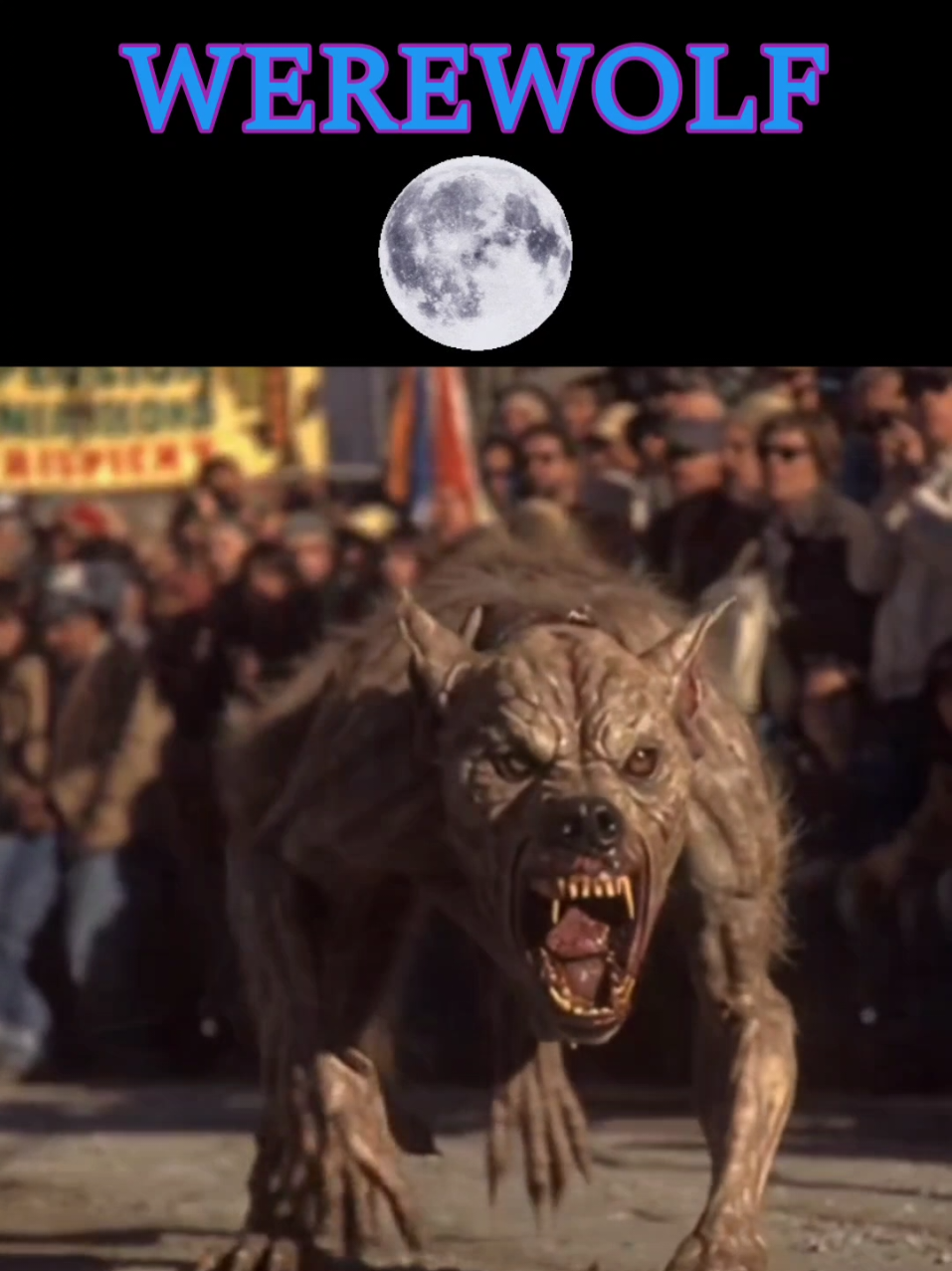 @Werewolf_Nightmares