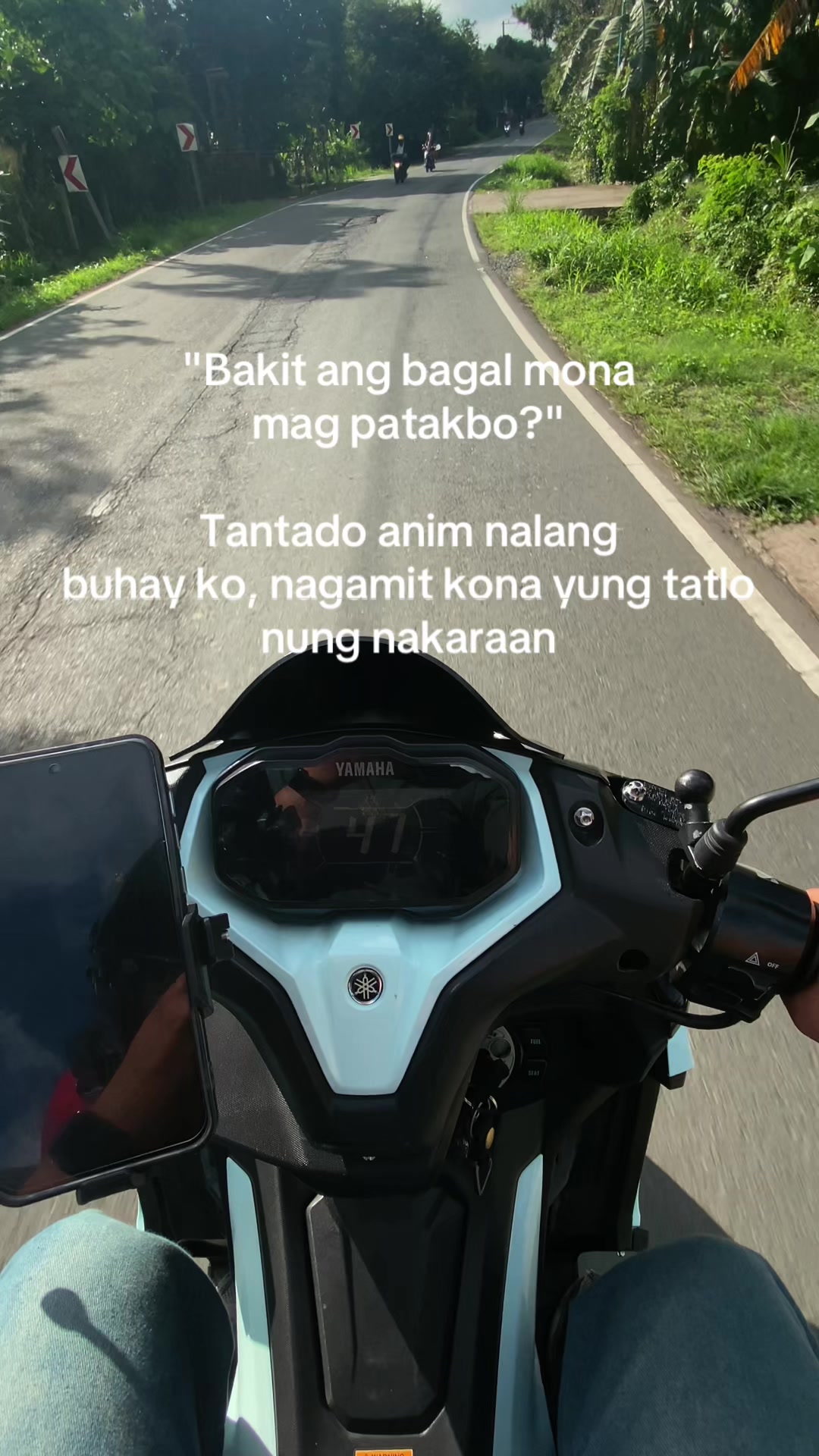 @afrayim