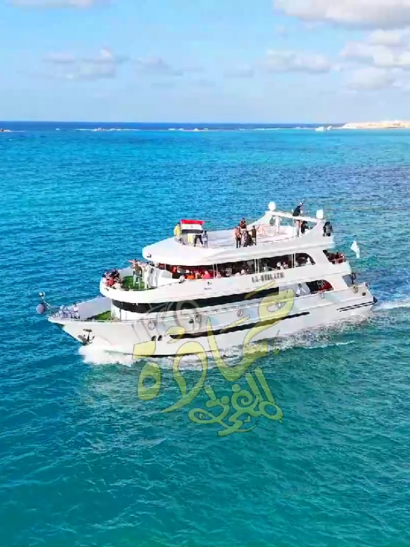 @حمادة المغربي (لتصوير الفيديو)