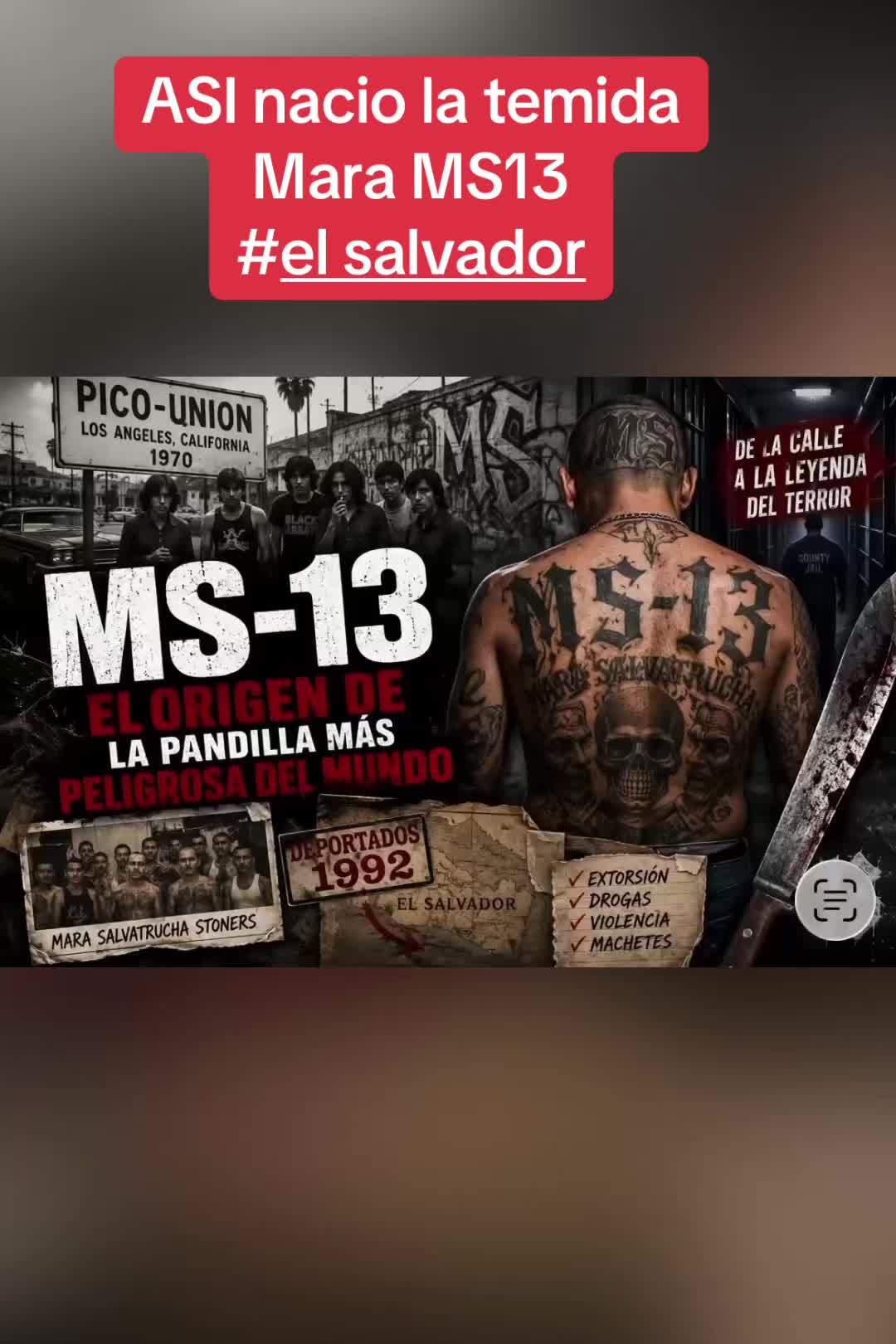 @Librepensador101