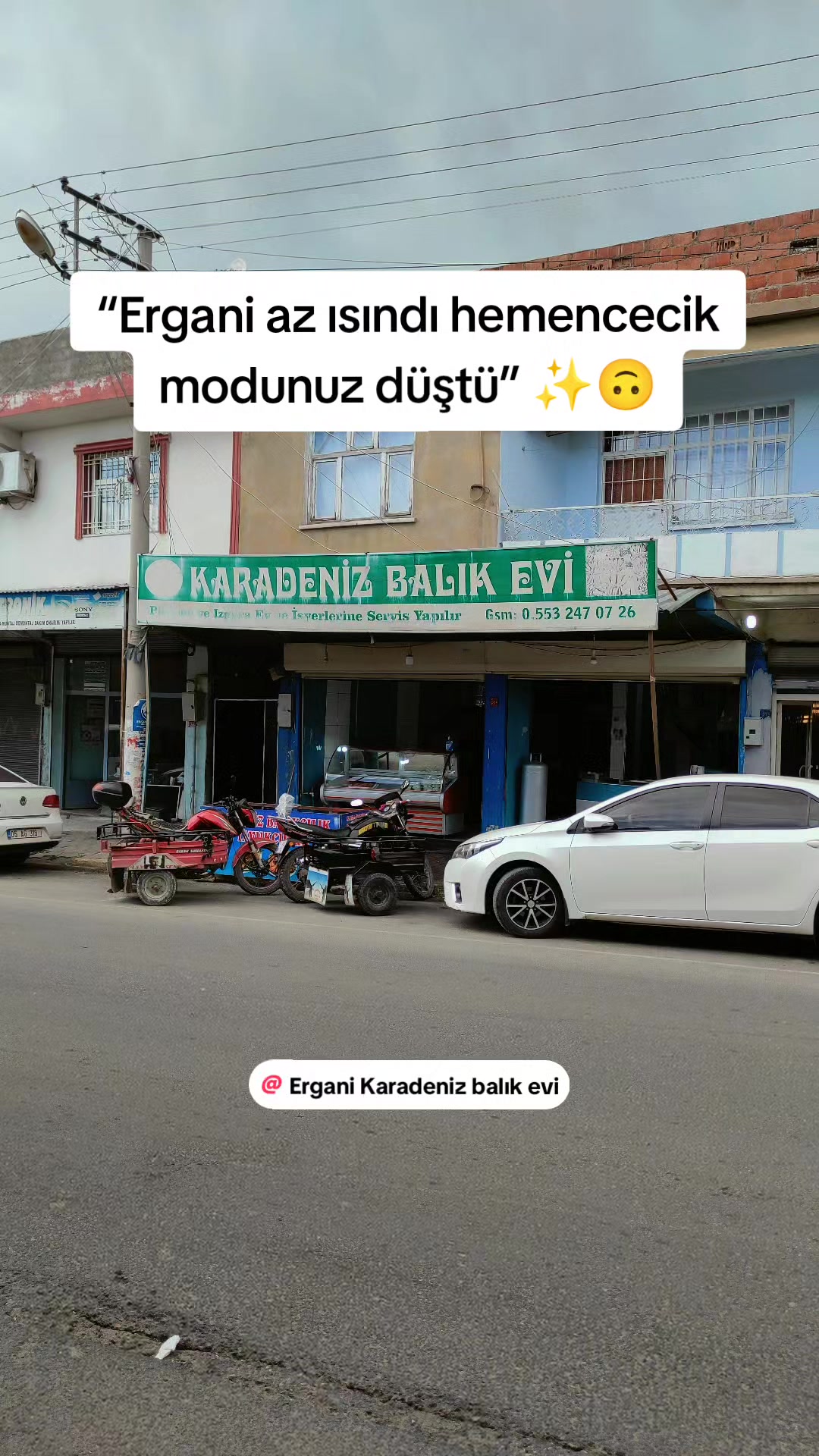 @Ergani Karadeniz balık evi