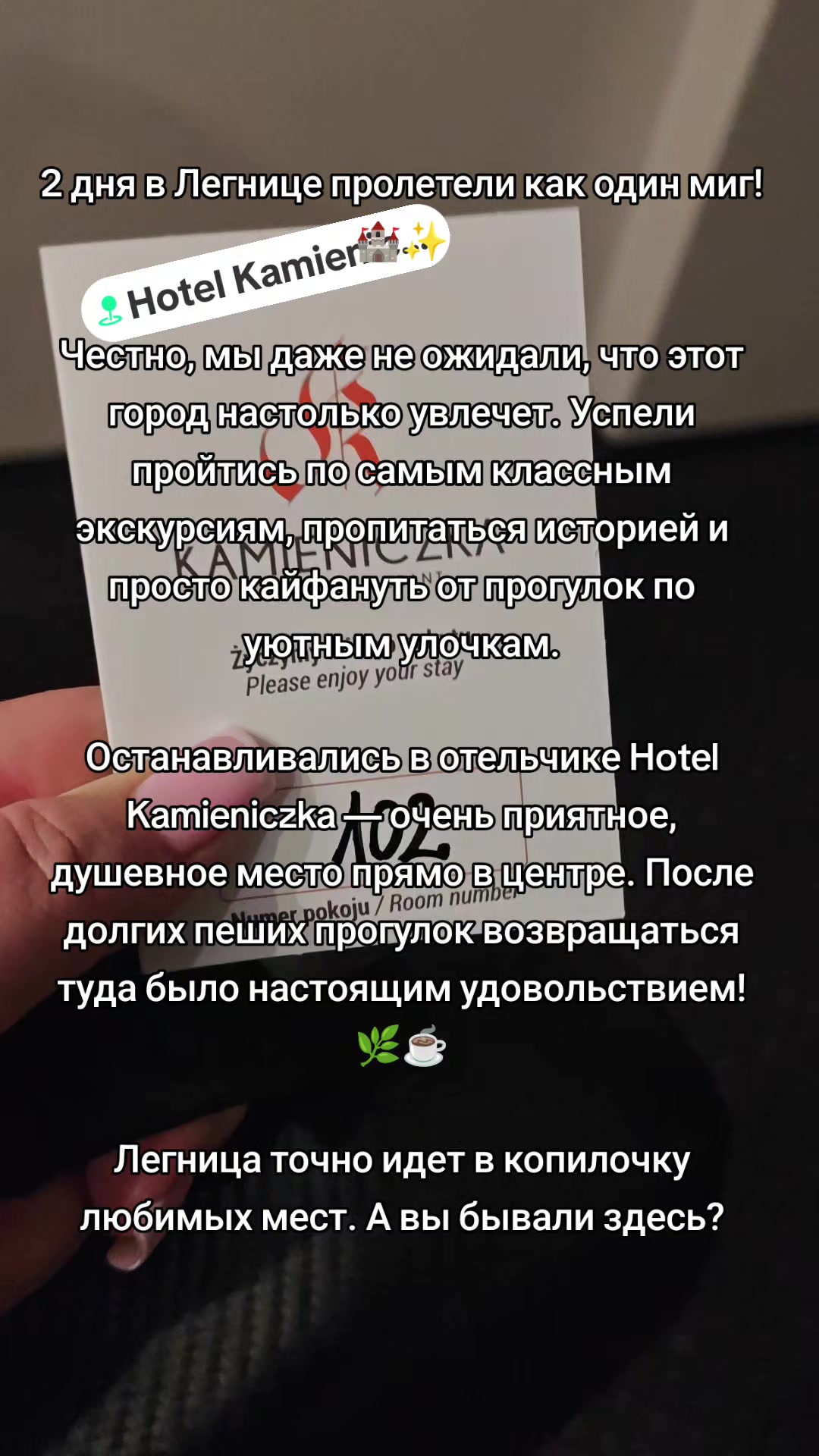 @Мир на ладошке
