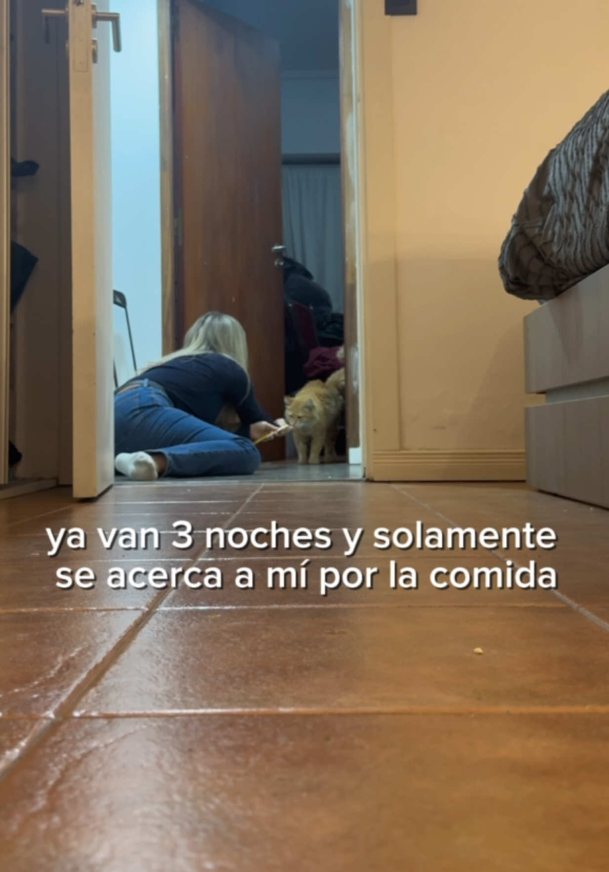 @Lucia Serenaa