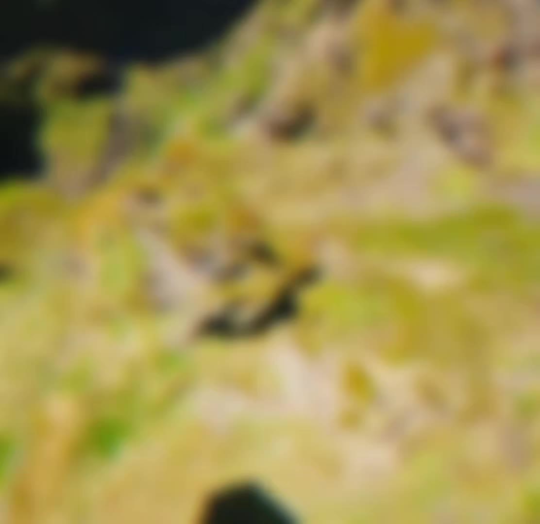 @𝐭𝐲𝐮𝐦𝐞𝐧𝐢𝐚𝐧🇷🇺🇪🇺[☭⃠]