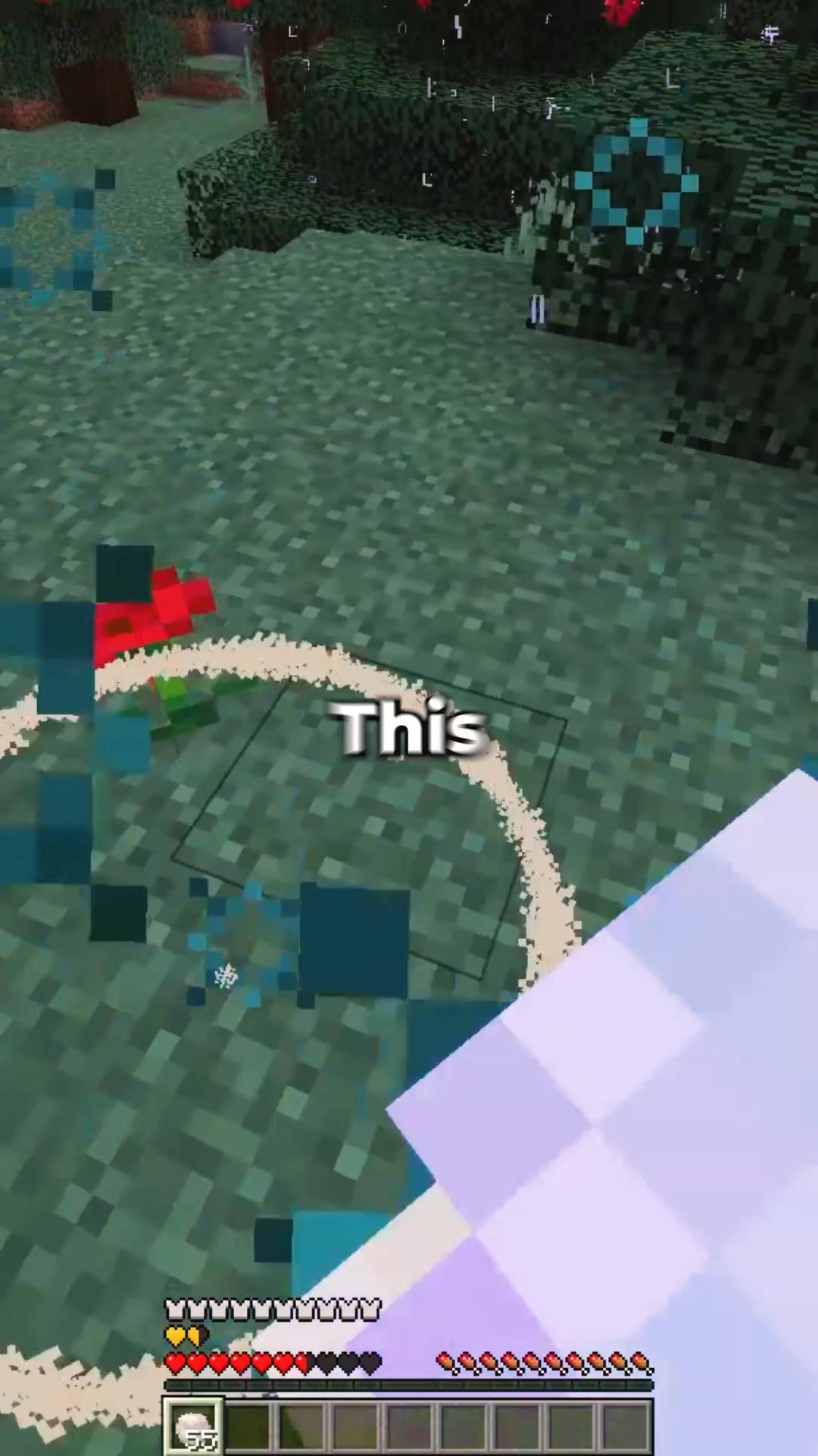 @RageMC