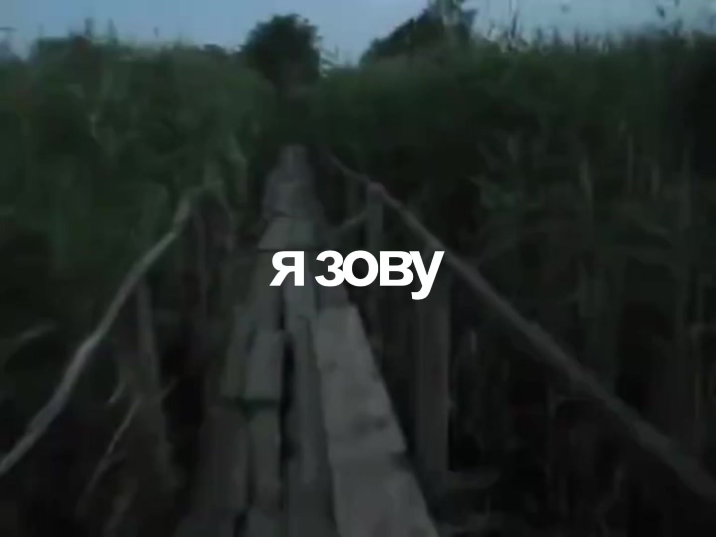 @viral кид✌️🩷