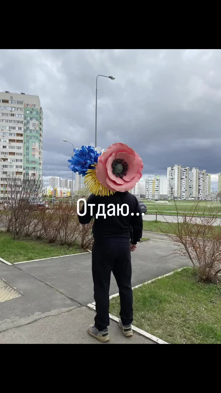@Татьяна Моисеева