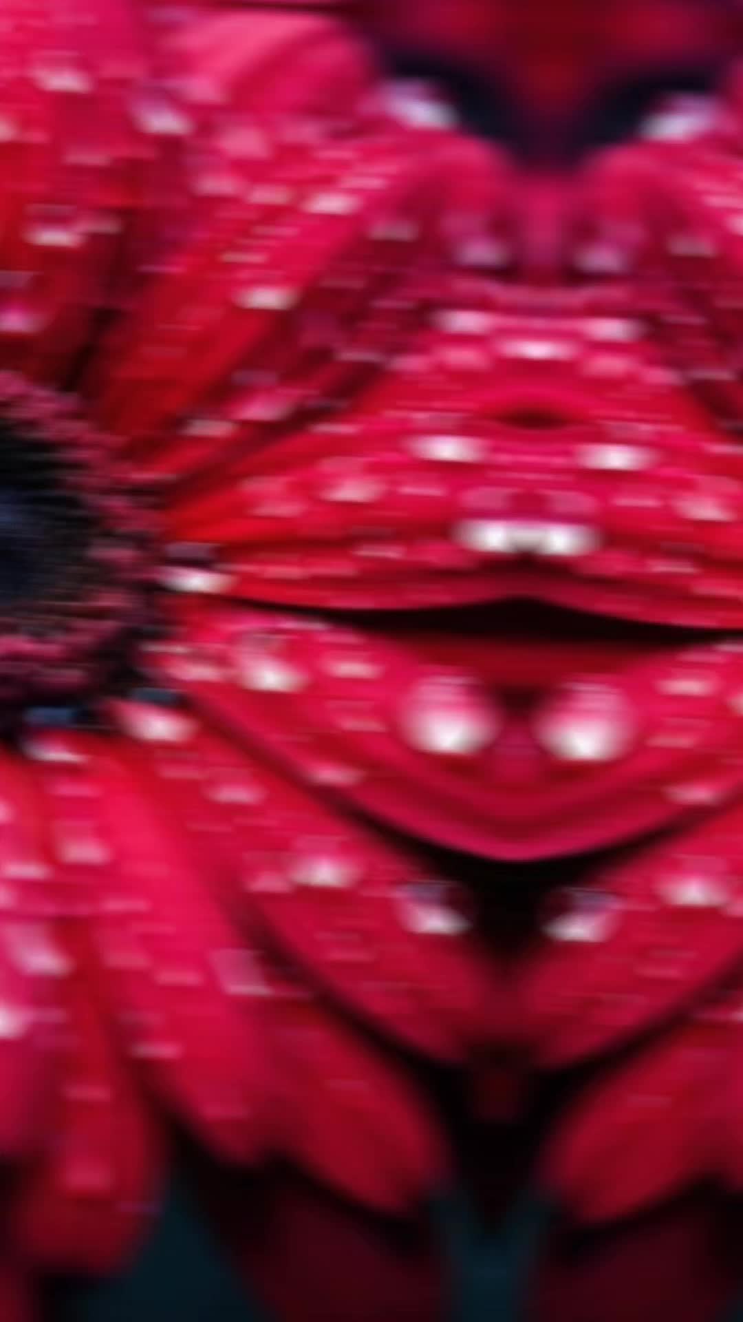 @🎧🕊️🅐︎🅛︎🅞︎🅝︎🅔︎🕊️🎧