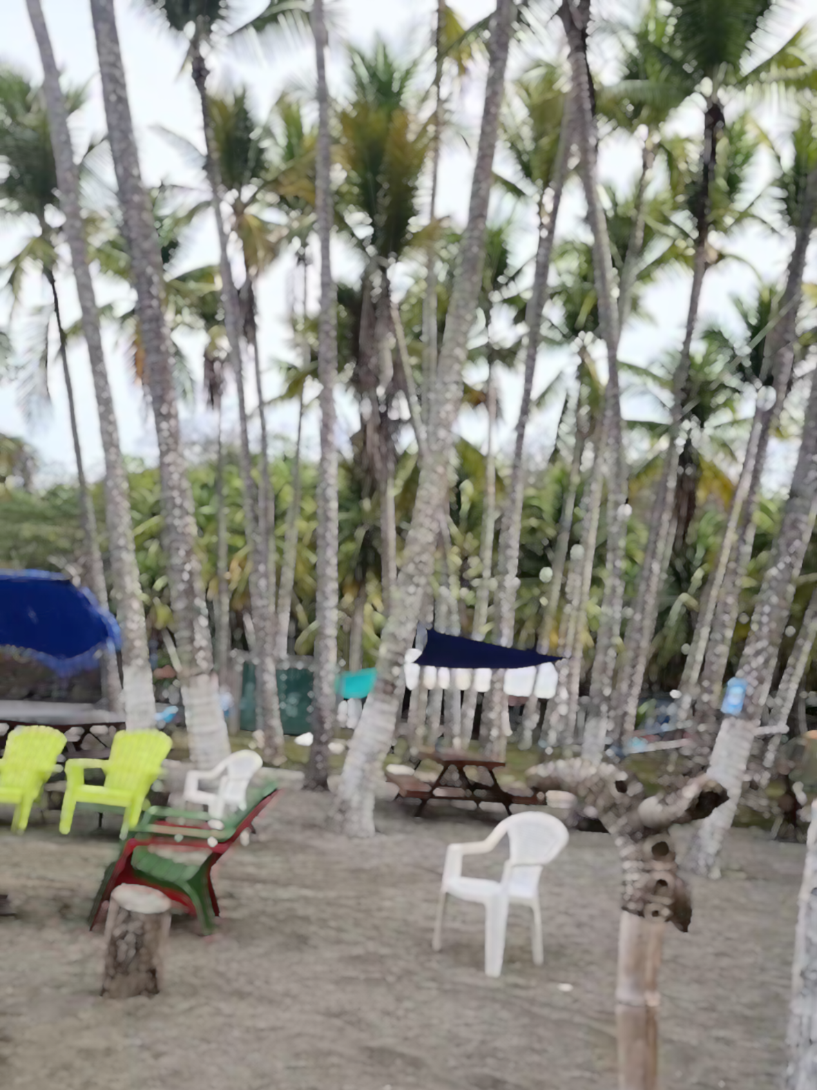 @Rasta Tours CR