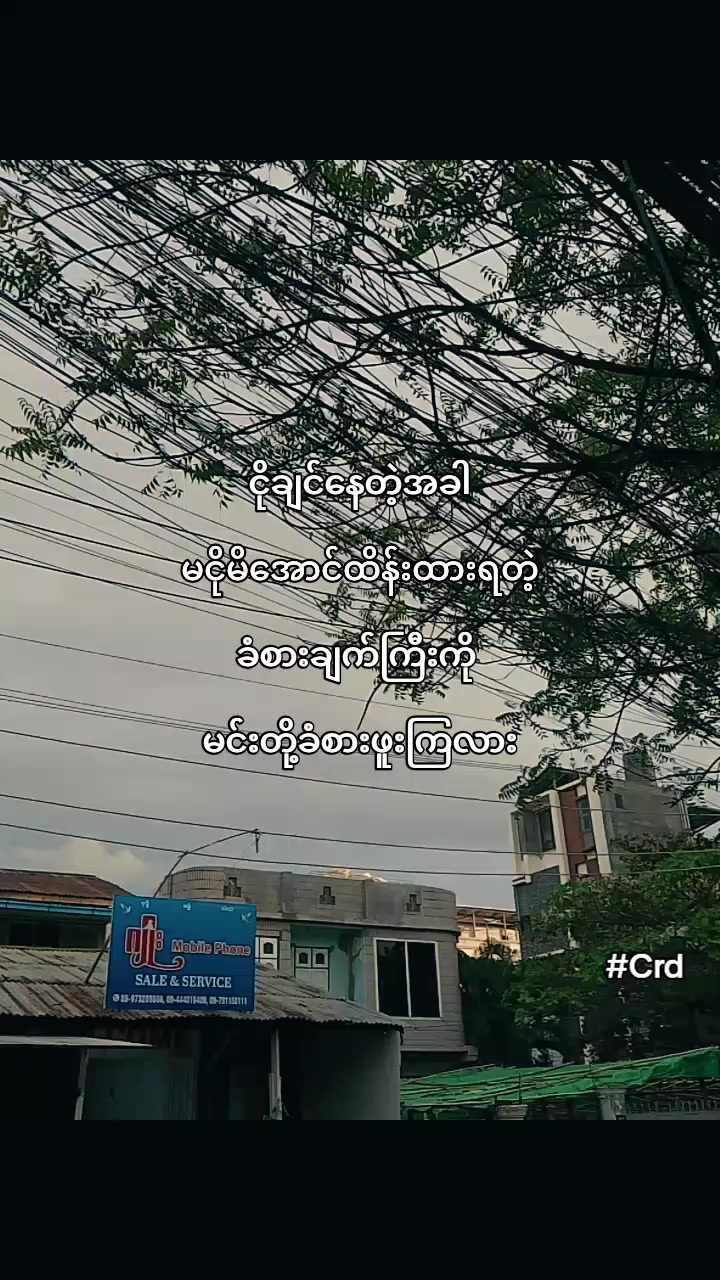 @✨M✨
