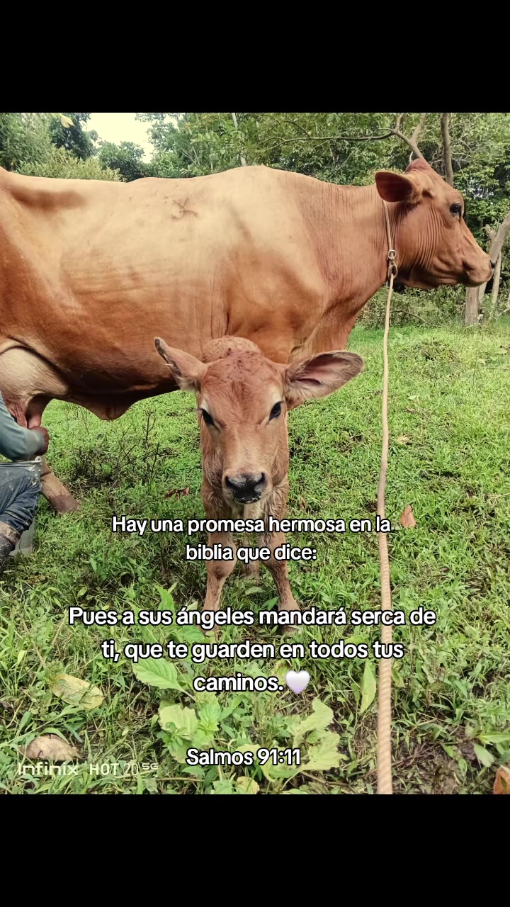 @Řobleto+🐄/Rancho (🐎)+🤠
