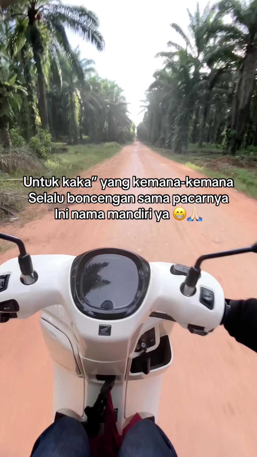 @Alvina
