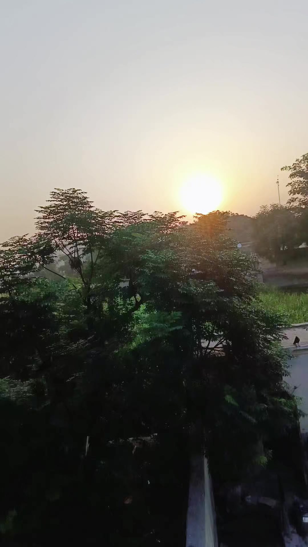 @shahzada ❣️😘😘😘