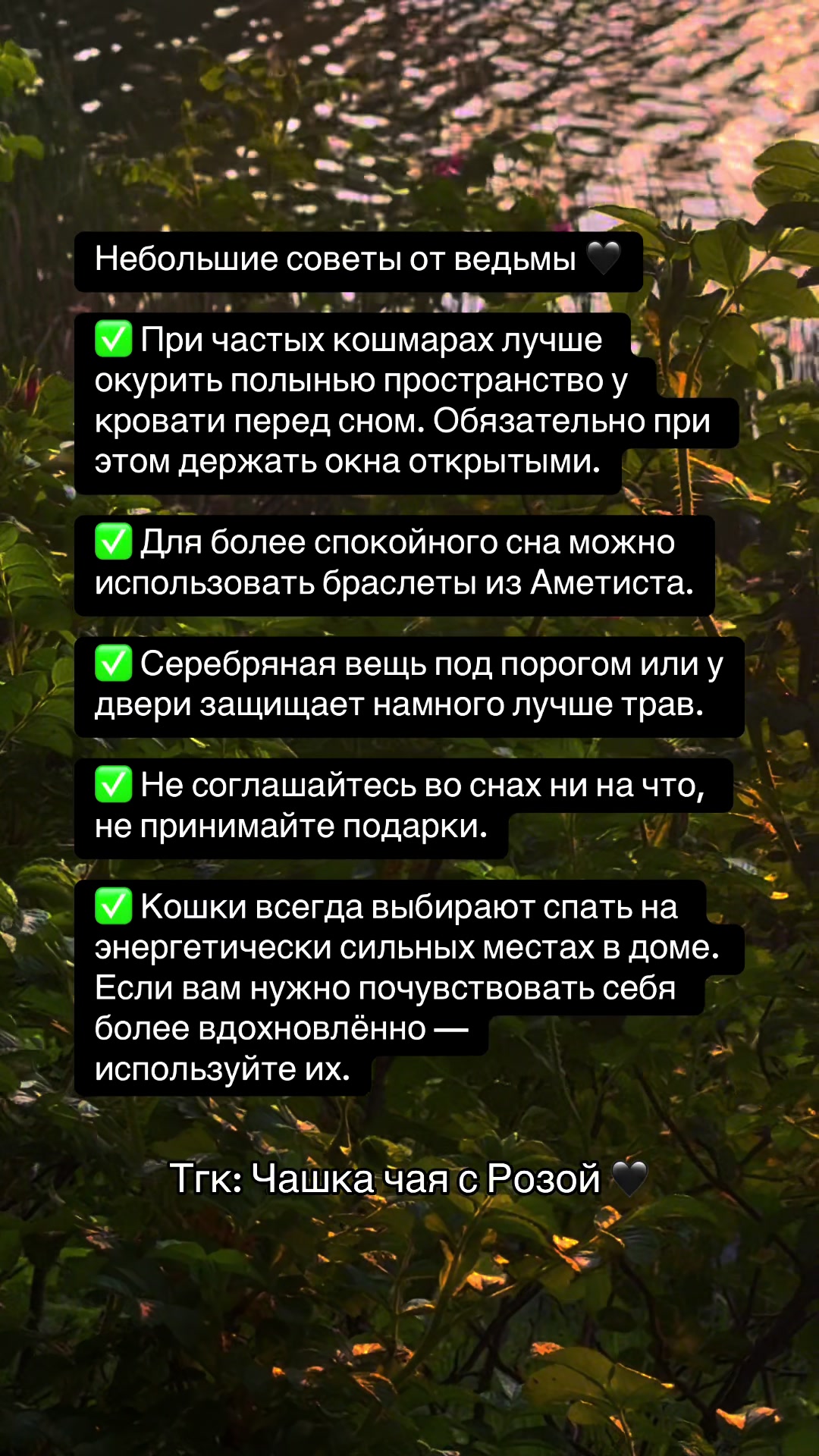 @🐉👁️ Гримуар Роуз 🩻🔮