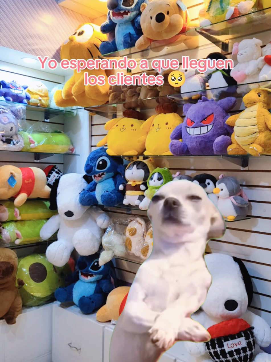 @Booshi MOSHI Store