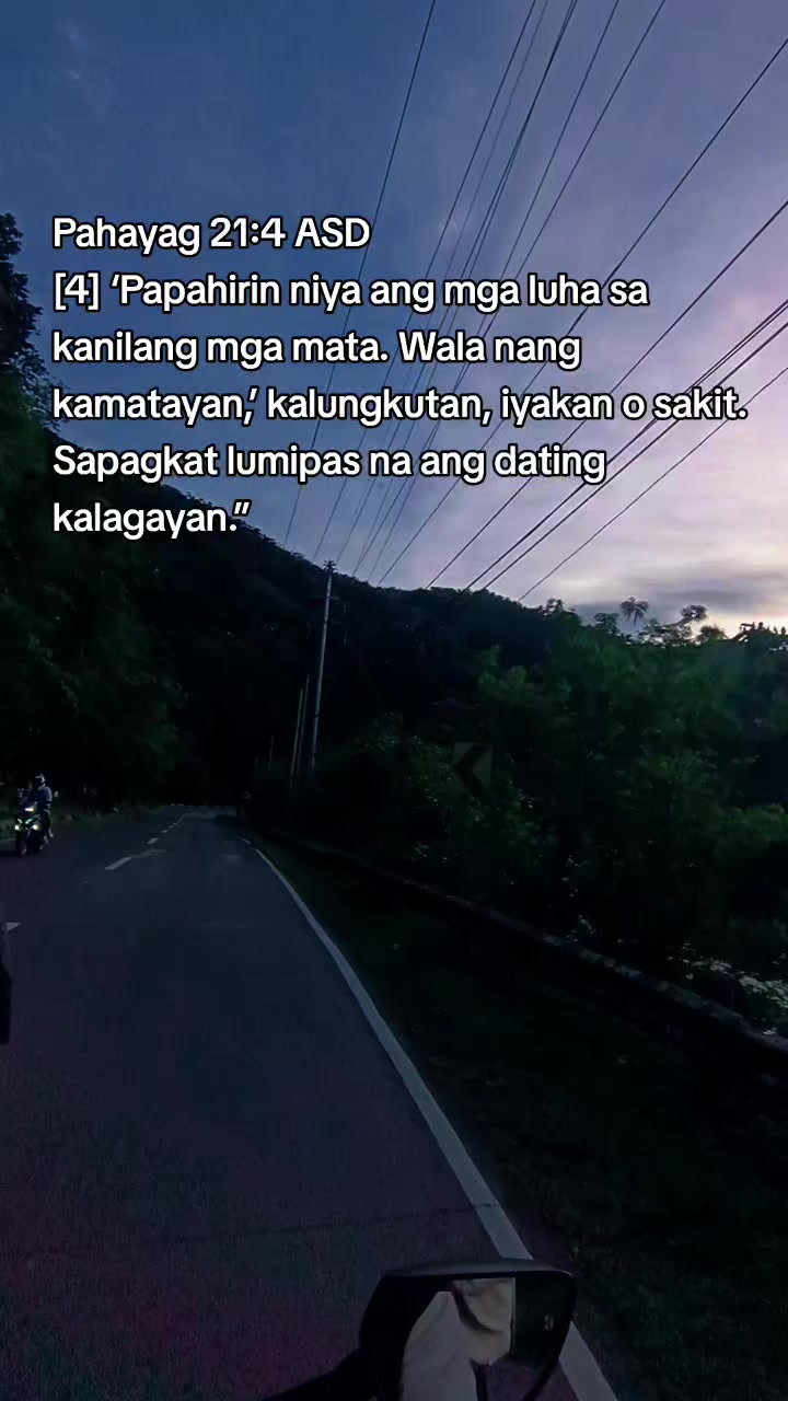 @serene daily