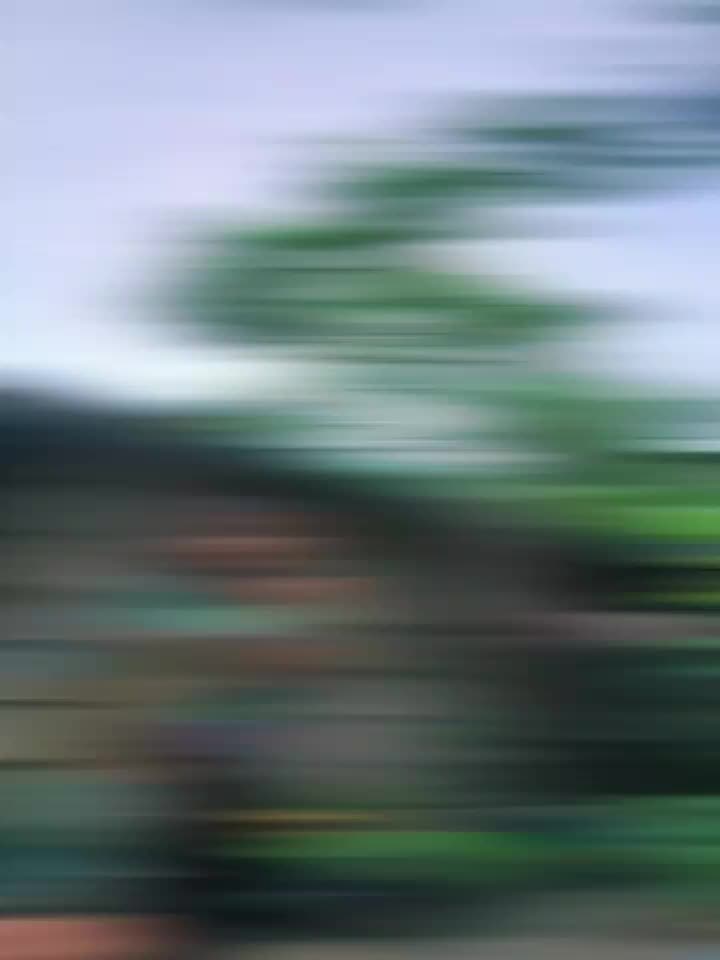 @Trizhh