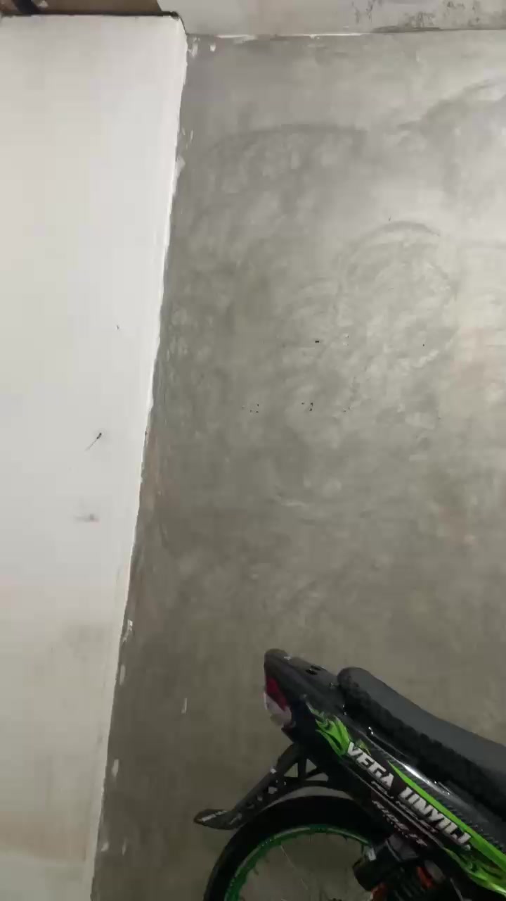 @Vega.unyill