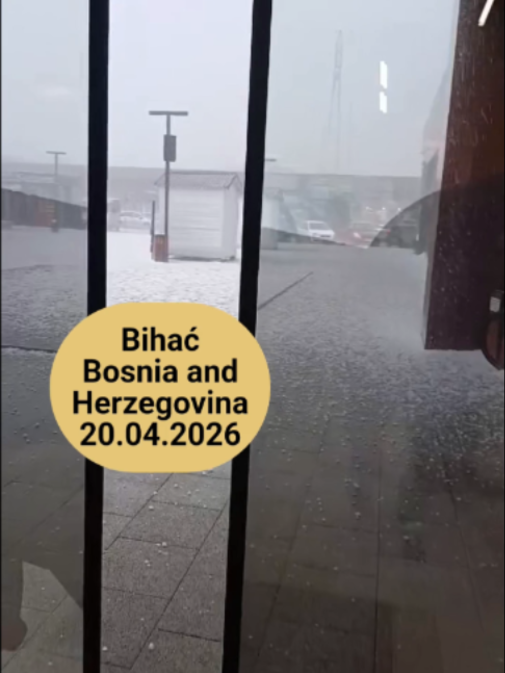 @Tetova News