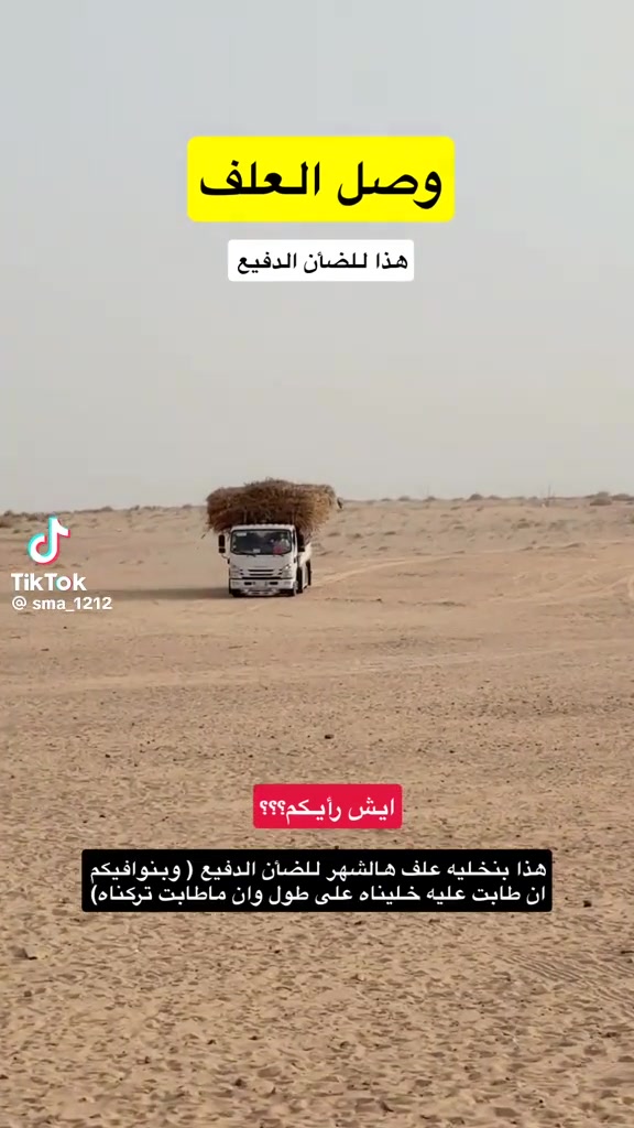 @mohamed_ksa0