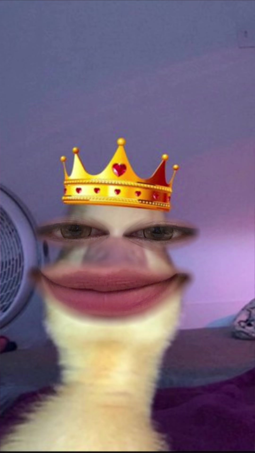 @heyitshangg