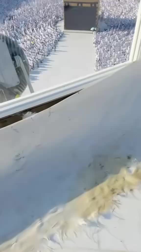 @Ahmed