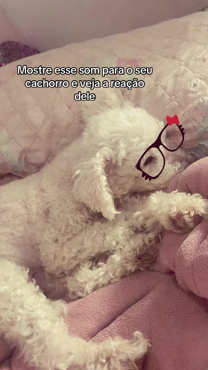 @katillabraga ࿐