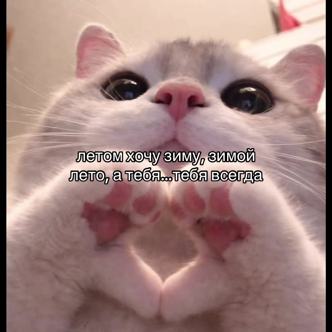 @Х̶И̶Т̶Ы̶ У̶ П̶Л̶И̶Т̶Ы̶🎧