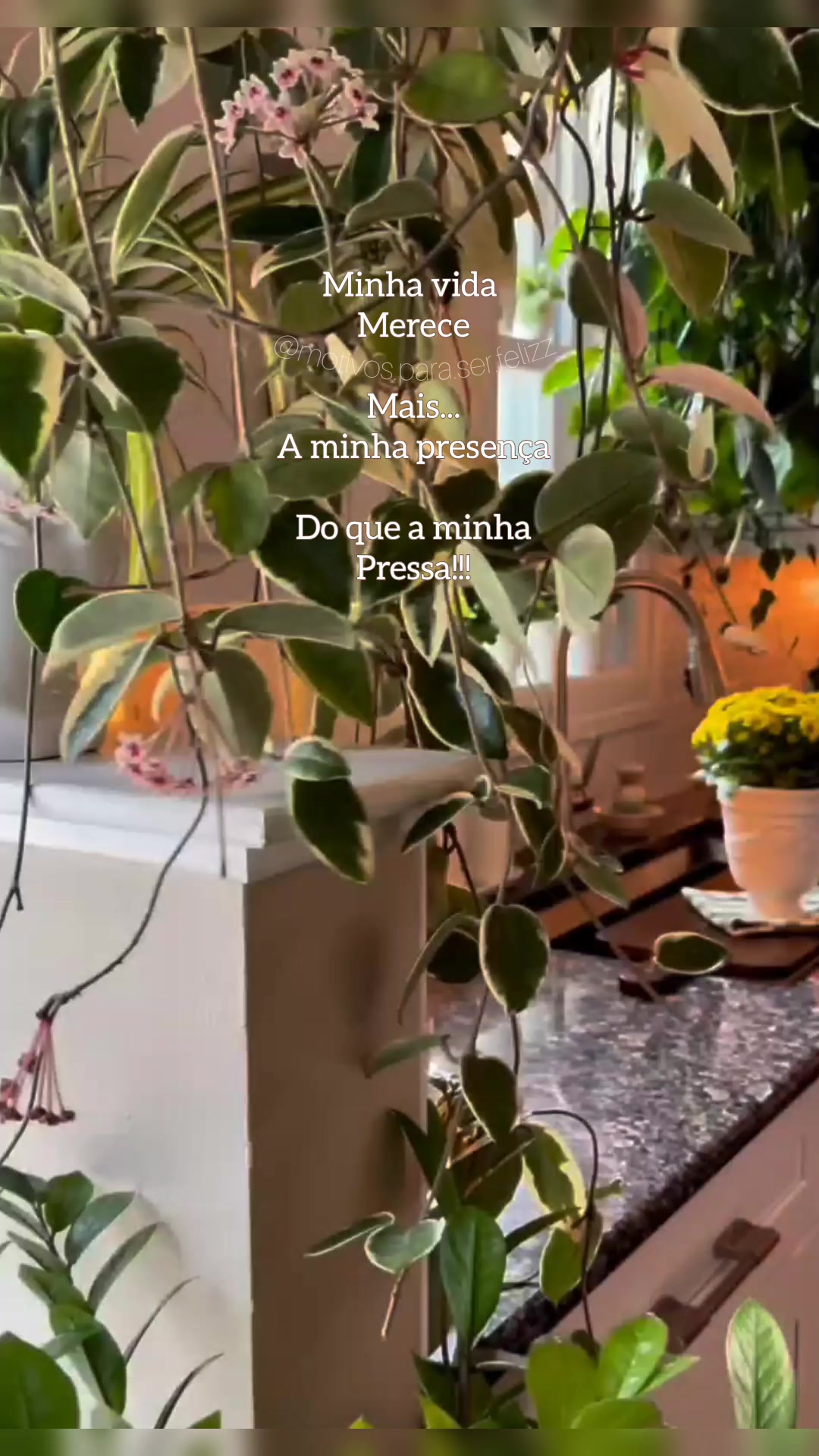 @Motivos para ser feliz