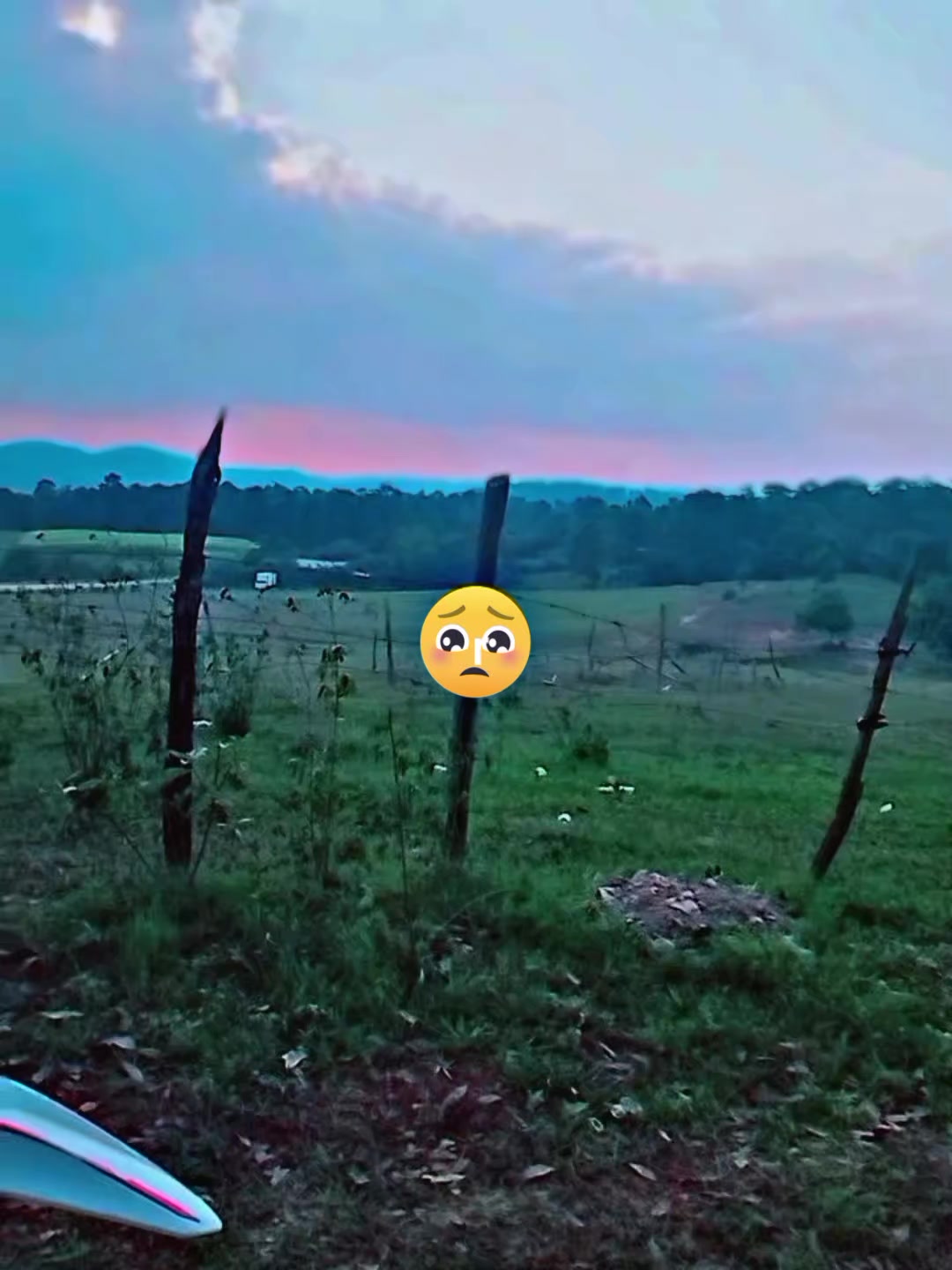 @Alex 504 ❤️