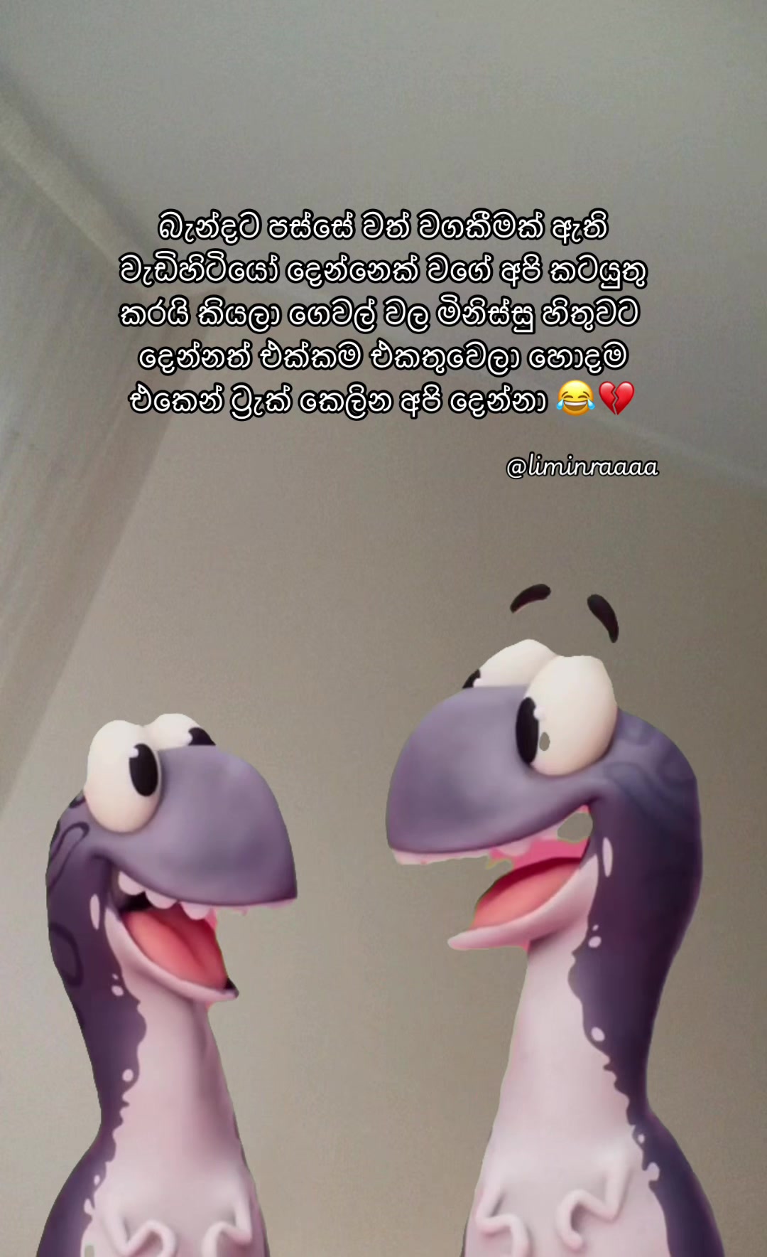 @Lisumi Jayawardana