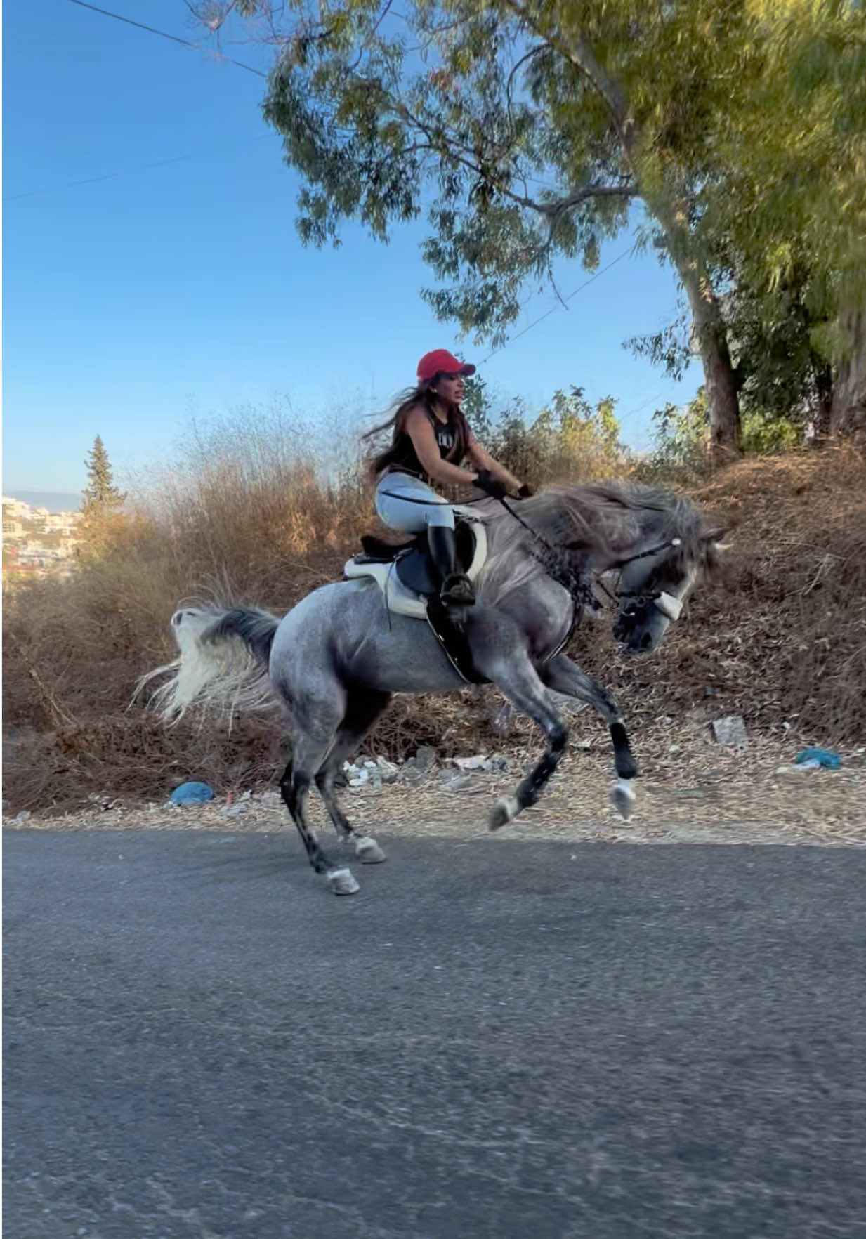@لــيــن🐎