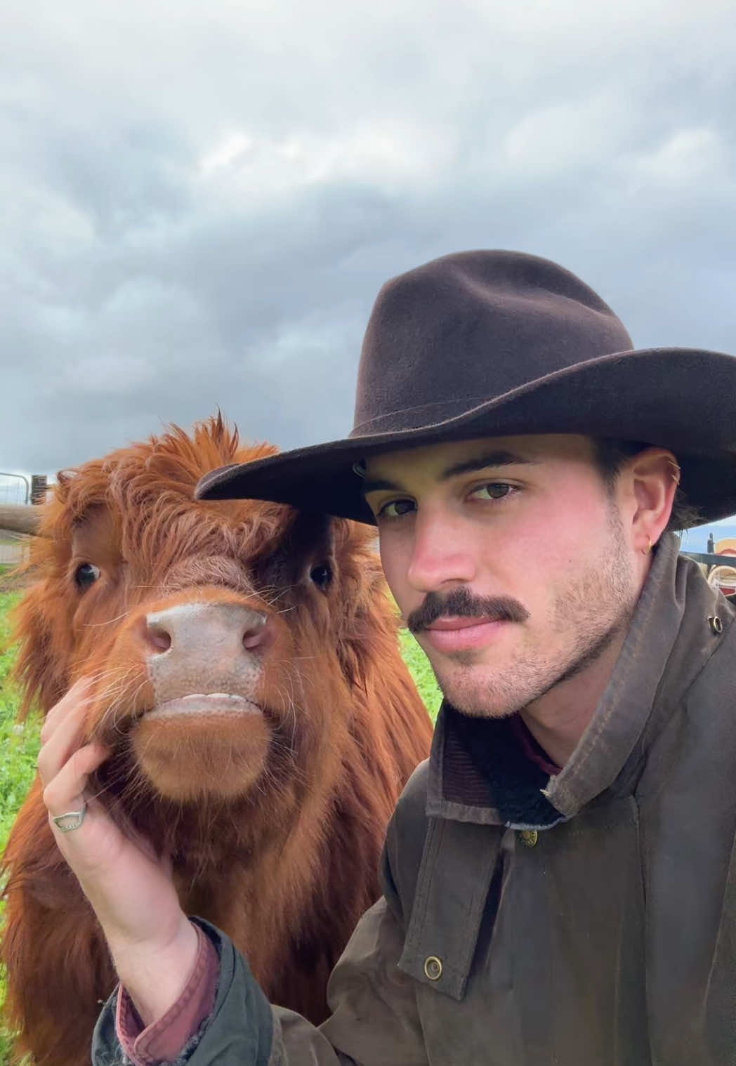 @Liam 🤠