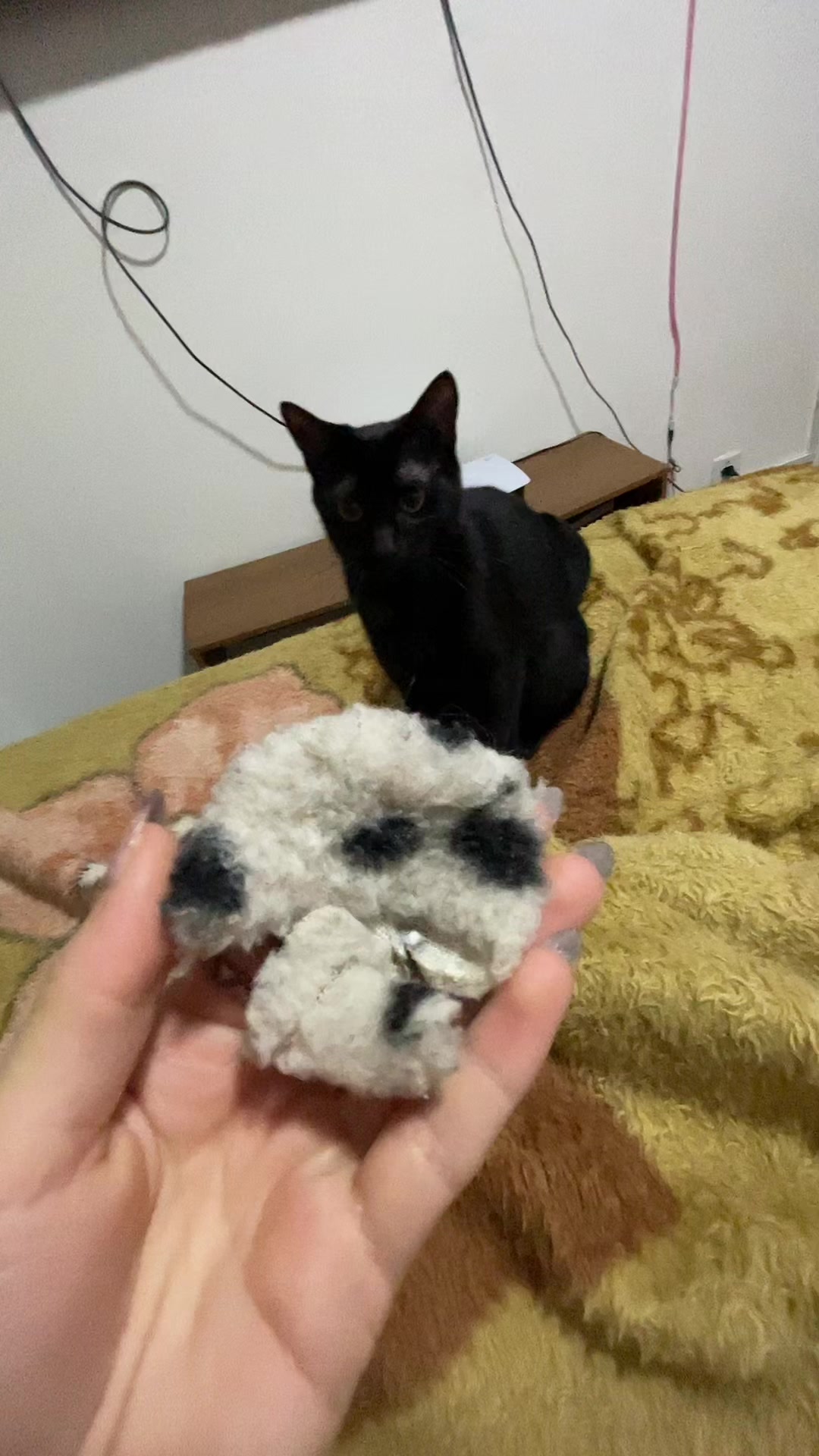 @Lilly Goth 🕷️