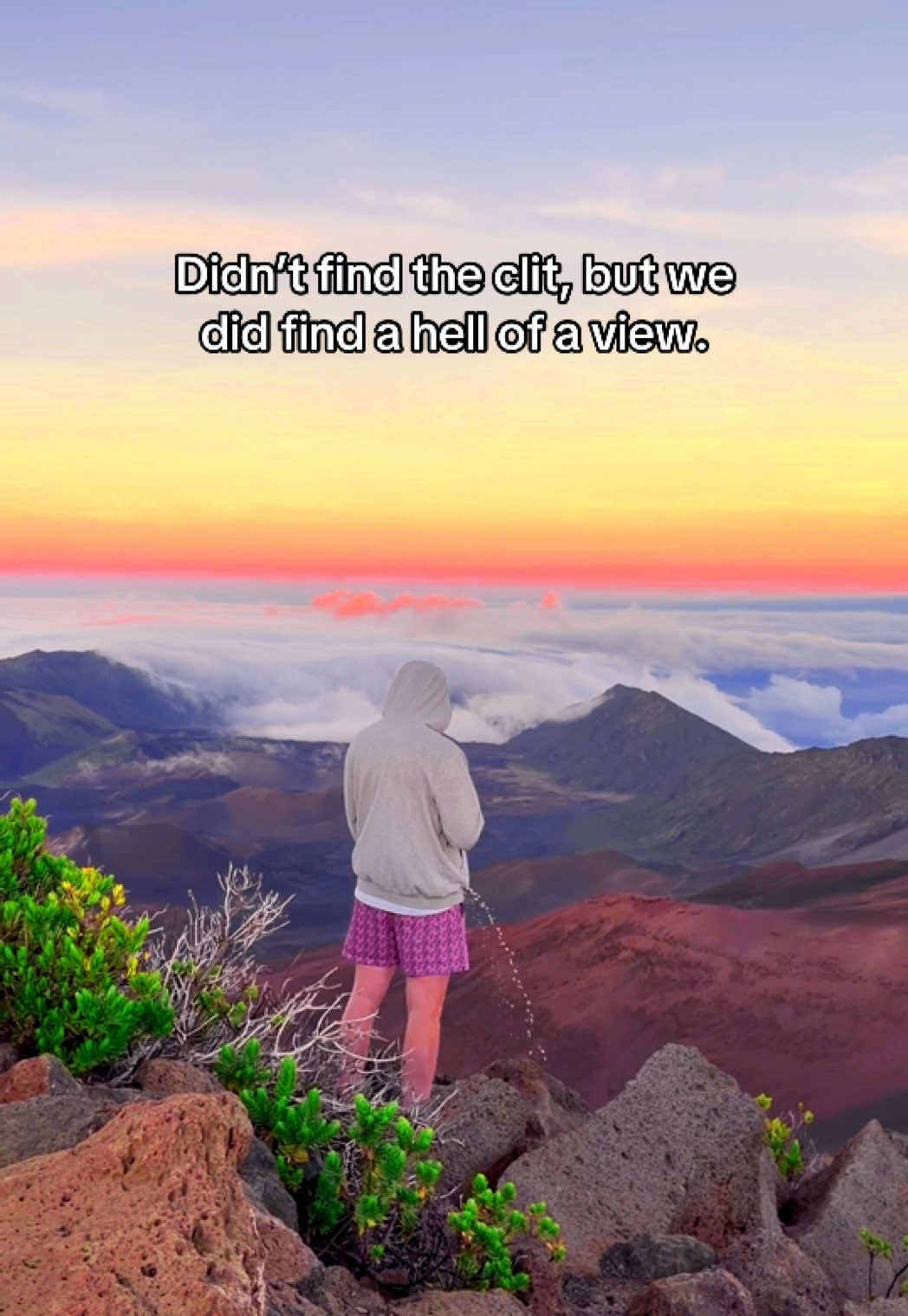 @Scenic Pisses