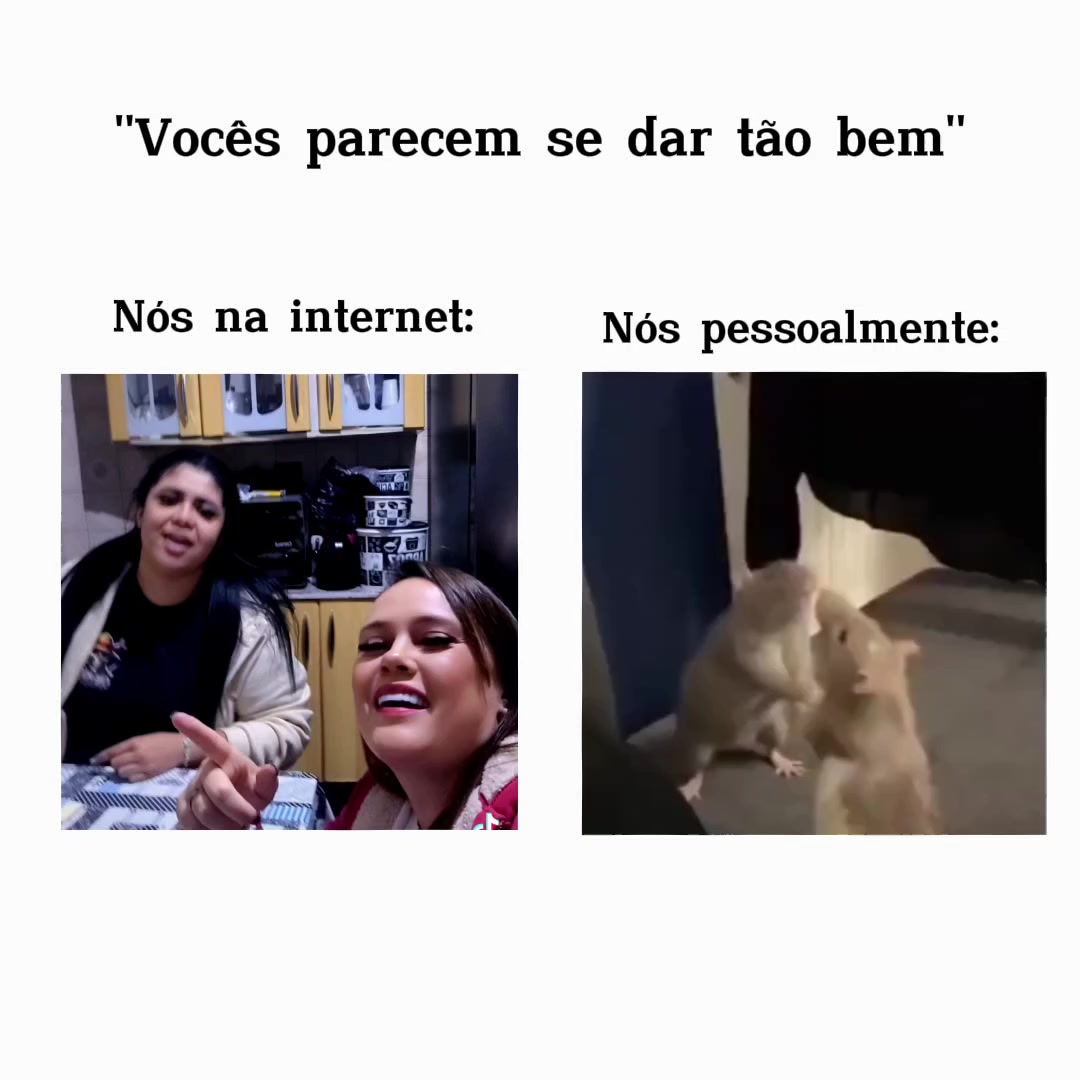 @Fernanda Bellarmino