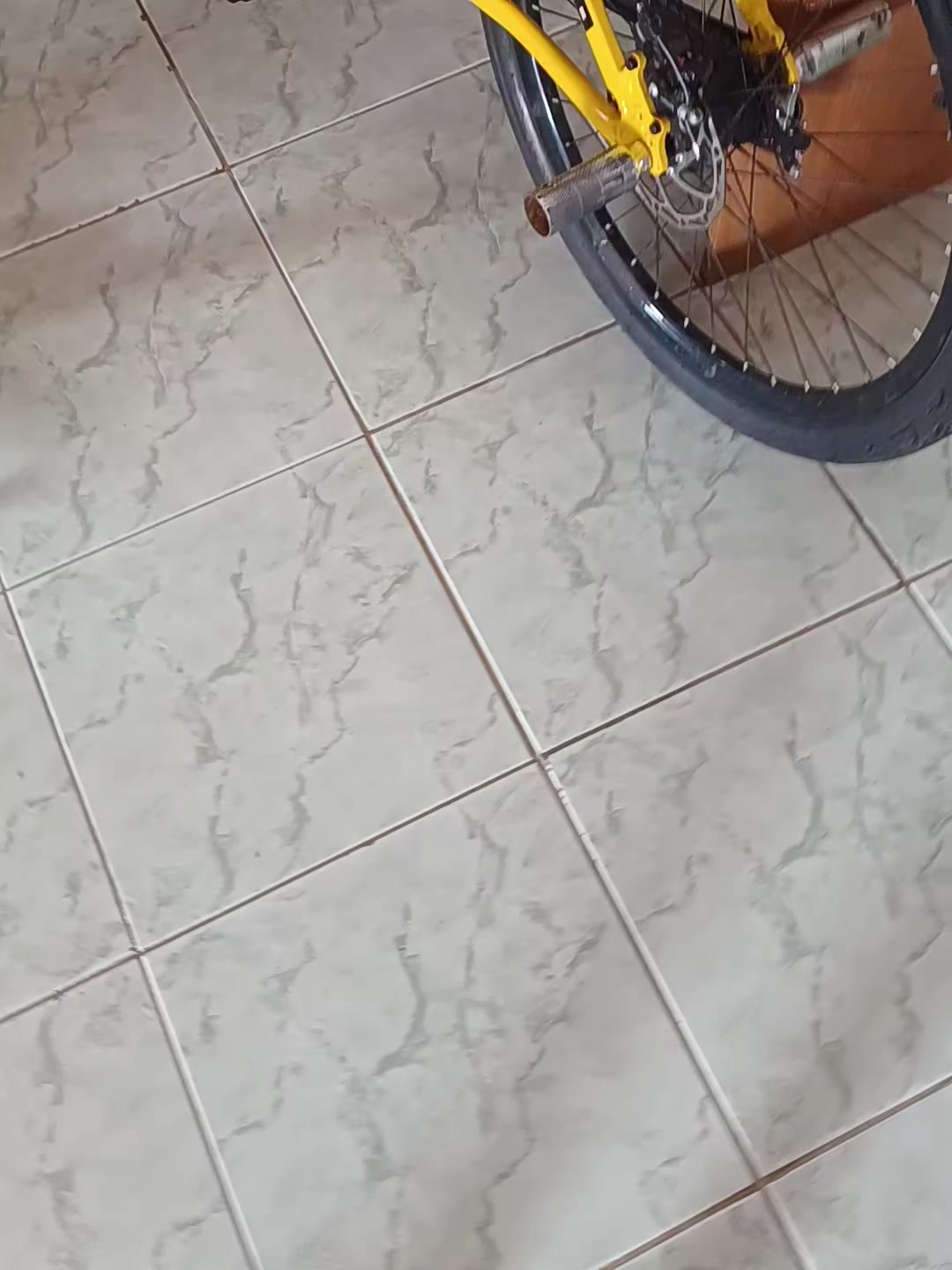 @chavinho