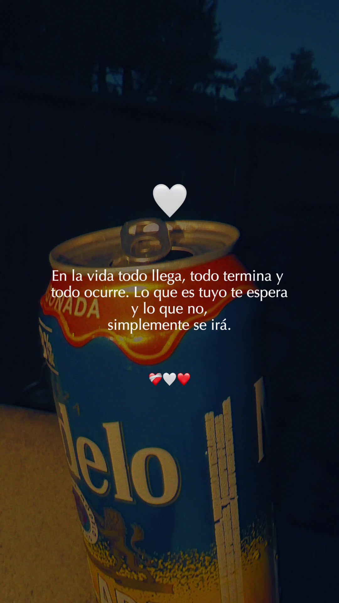@Elizza🍒