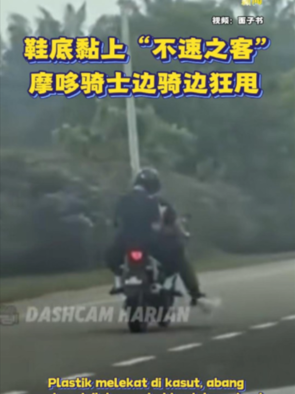 @中国报