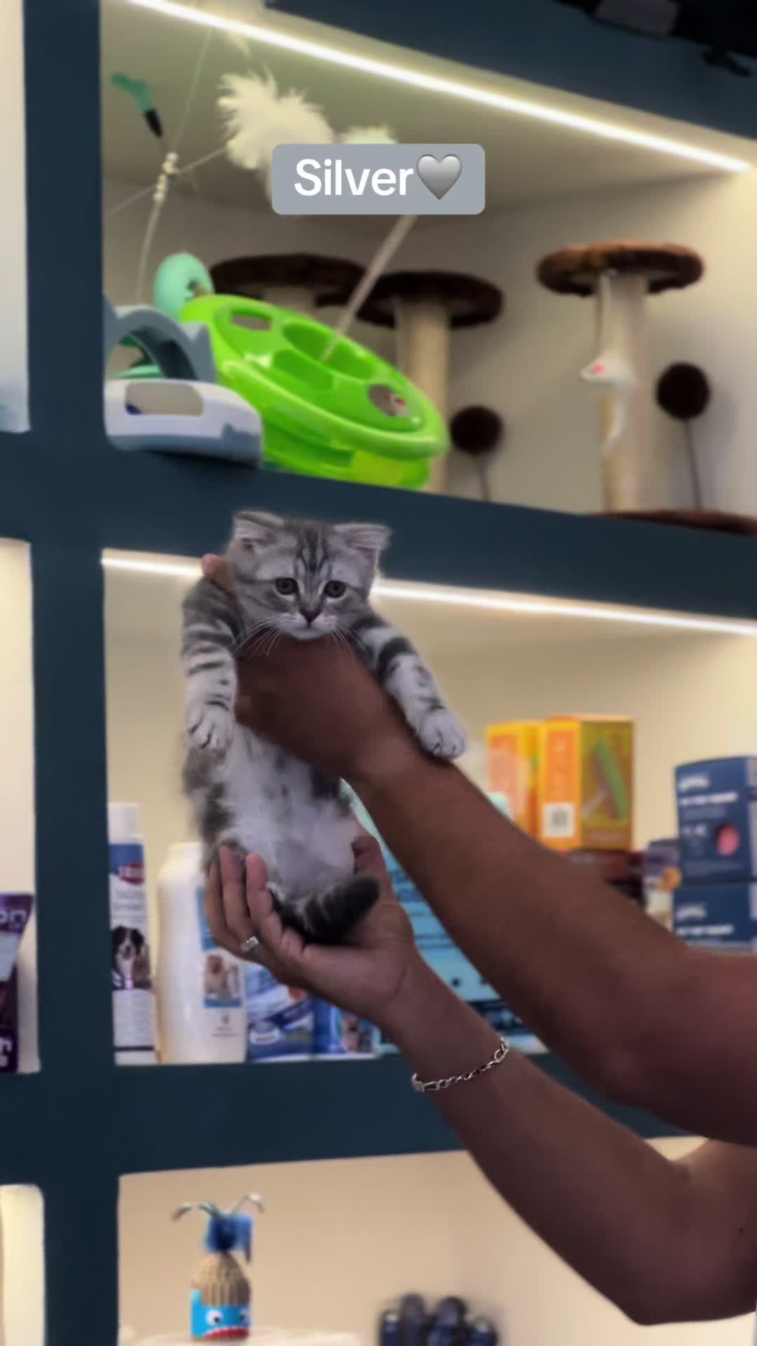 @pets.passion1