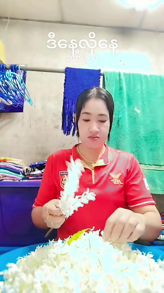 @user740749427044